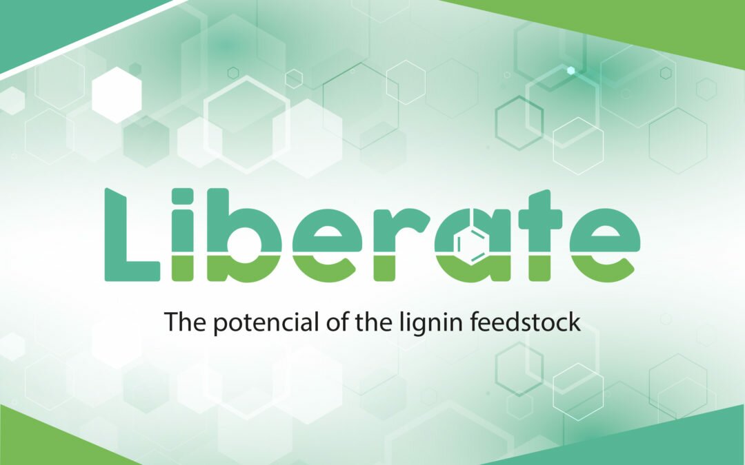 LIBERATE leaflet published!