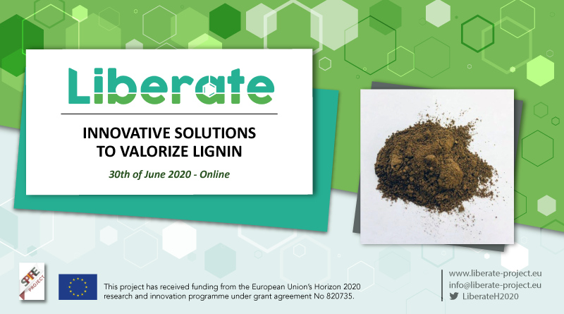 Online Workshop: Innovative Solutions to Valorize Lignin